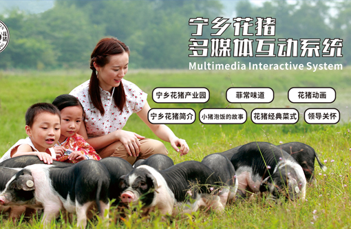 寧鄉花豬多媒體互動系統