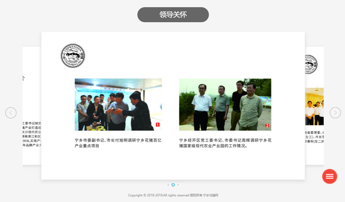 麥格建站案例-寧鄉花豬領導關懷